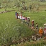 Bagaimana Kondisi Masyarakat Adat di Tengah Pandemi?